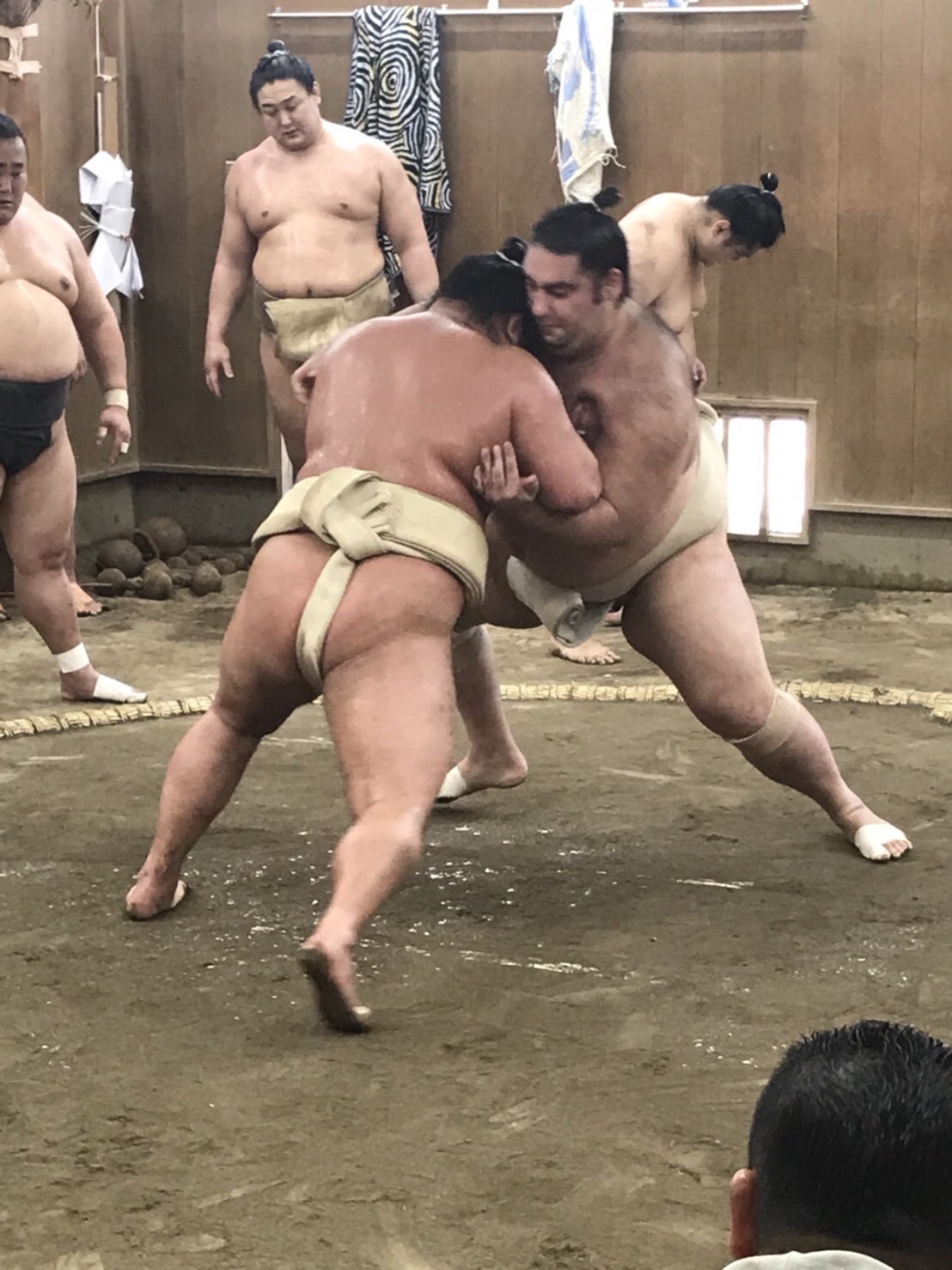 kaisei_a_003