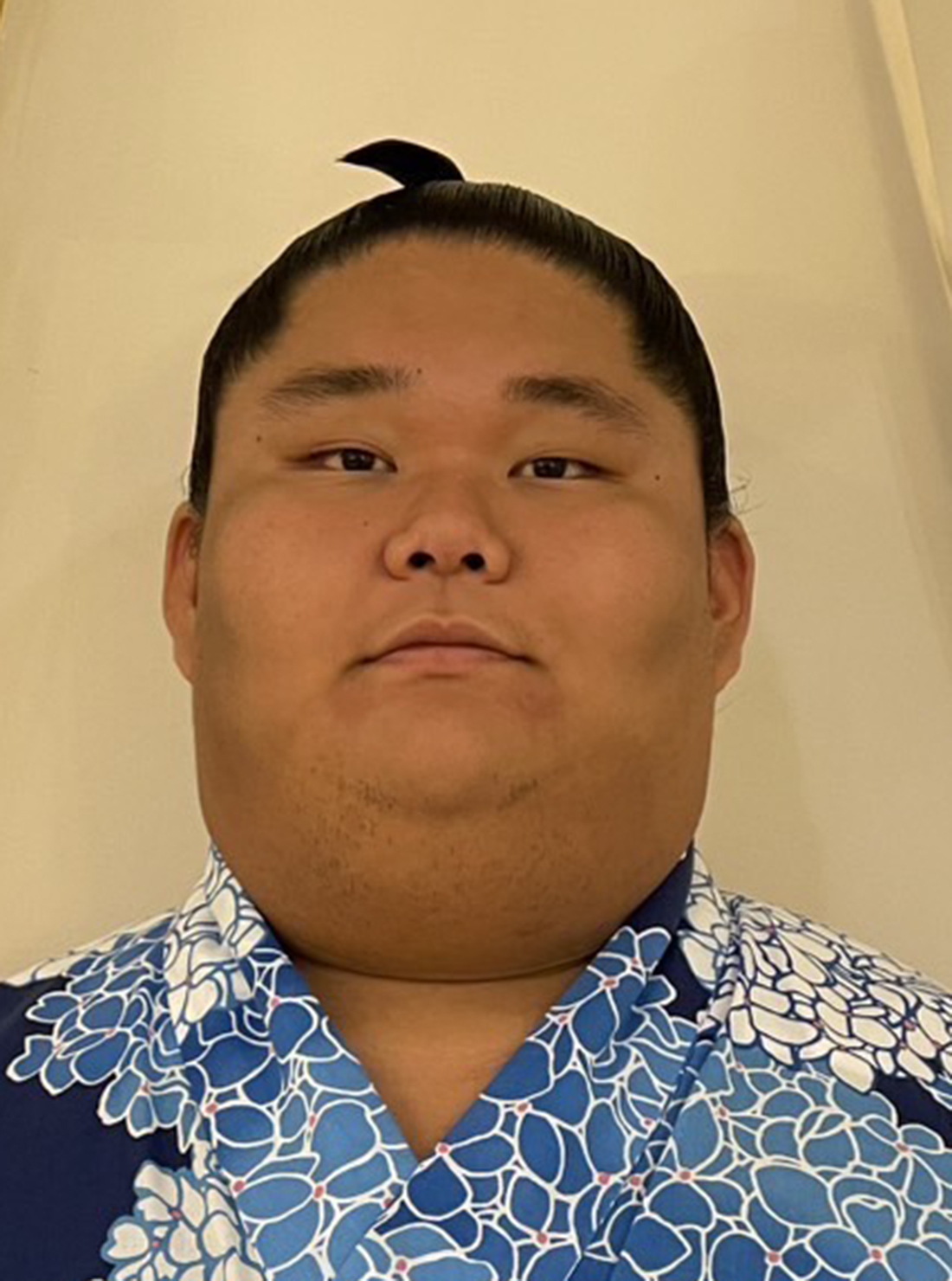 kyokutaiga_prof_a_250907